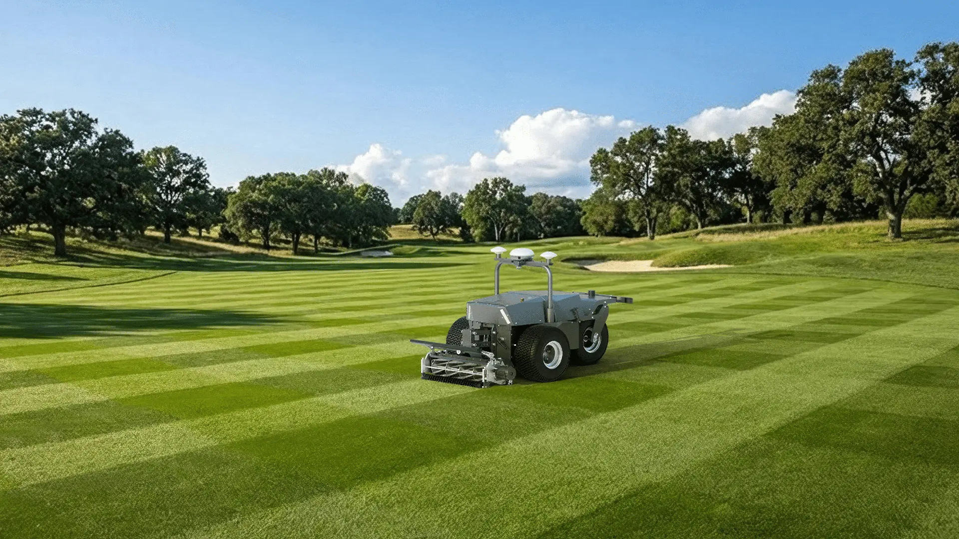 FJD RCM01 Professional-Grade Striping