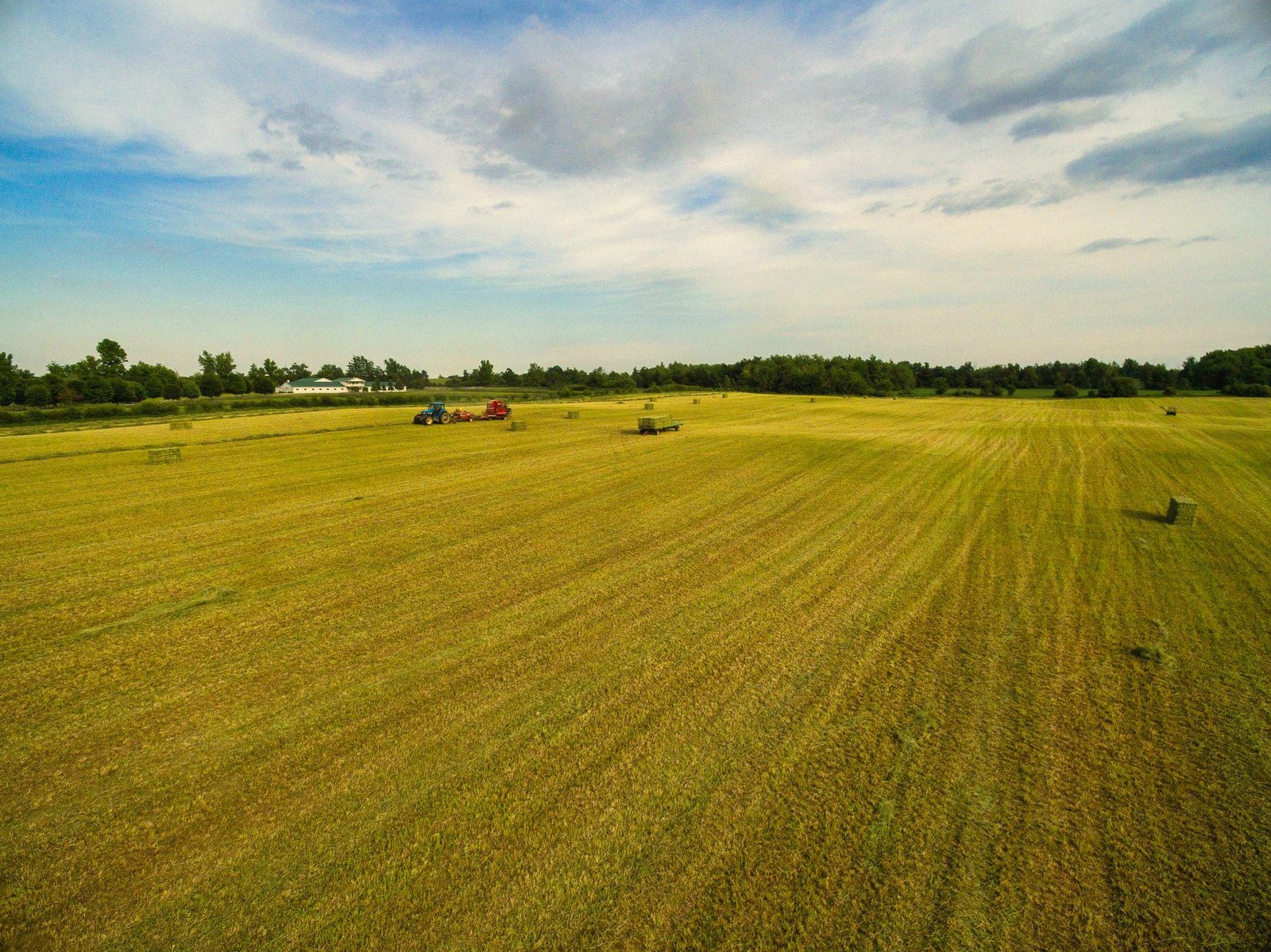 FJD ATX Sod Farms