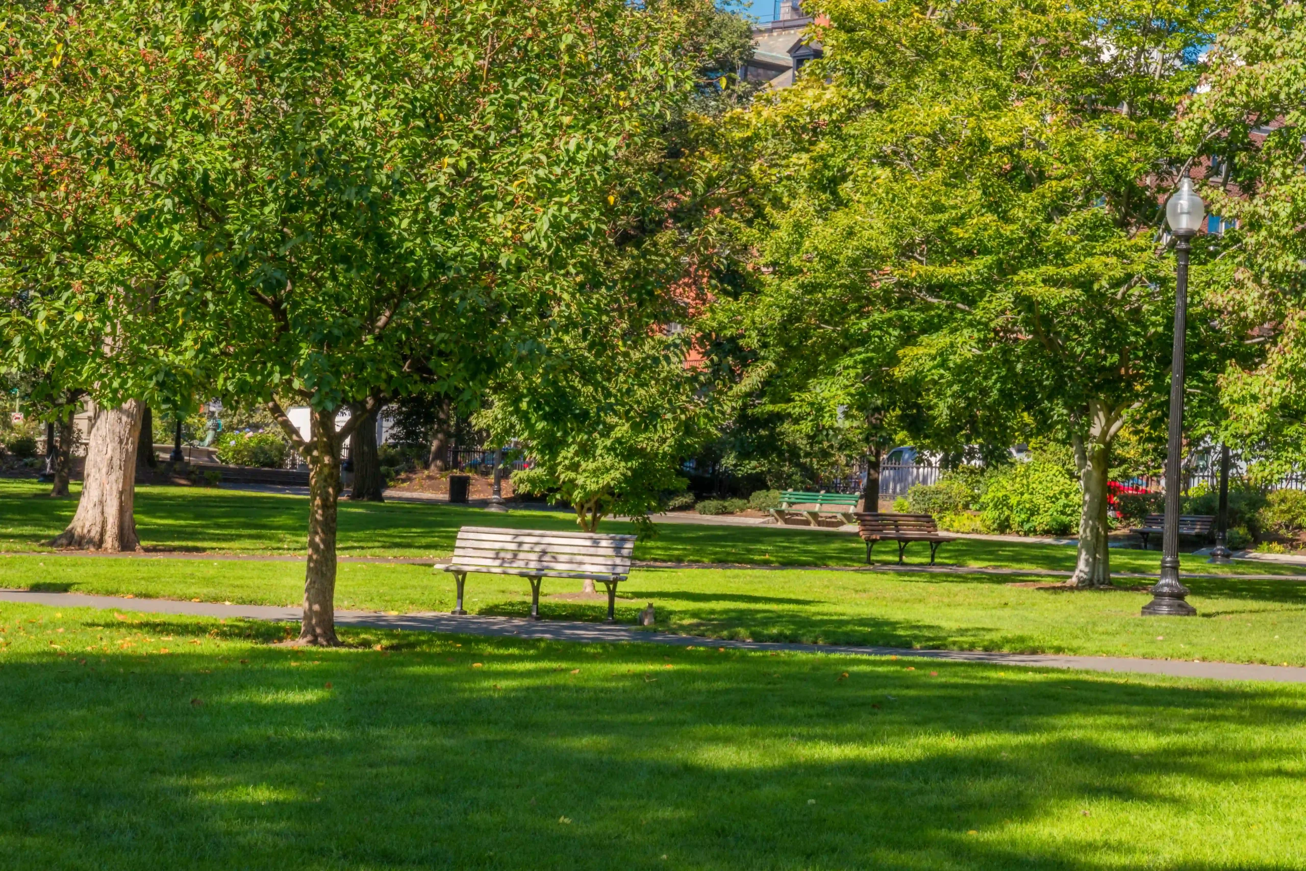 FJD Titan Public Garden
