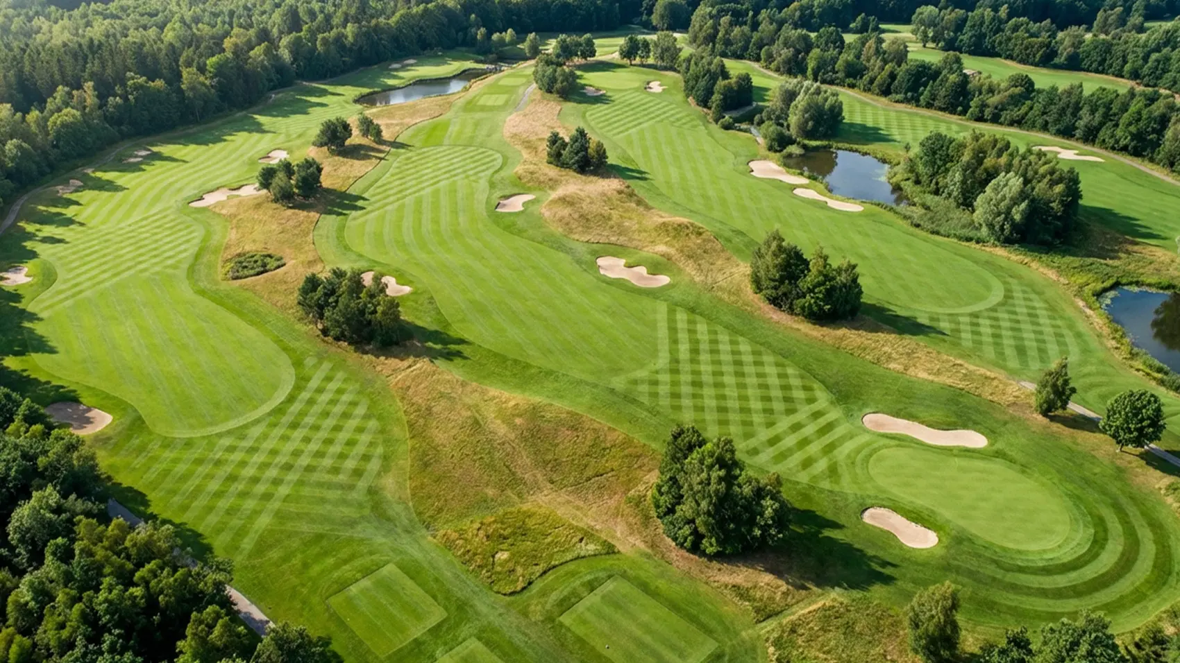FJD RCM01 Shape the Turf Define the Look